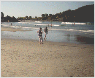 Tauranga Beach